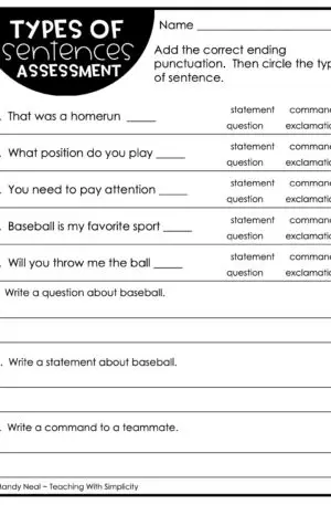 3rd Grade Types of Sentences Assessment