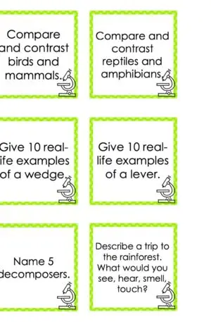 Choice Board: 3rd Nine Weeks - Science Cards (Color)