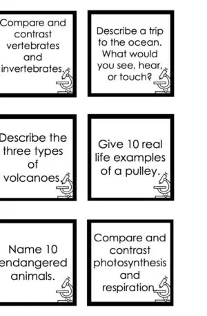 Choice Board: 4th Nine Weeks - Science Cards (Black and White)