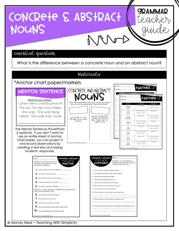 3rd Grade Concrete and Abstract Noun Teacher Guide