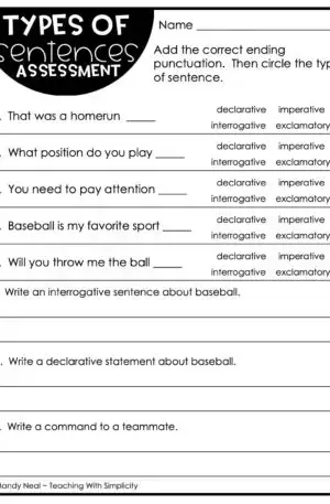 4th and 5th Grade Types of Sentences Assessment