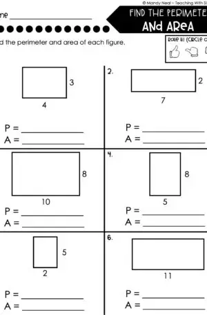 3rd Grade Area and Perimeter – Find the Perimeter and Area Worksheet 2