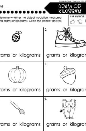 3rd Grade Measurement – Gram or Kilogram Worksheet 2