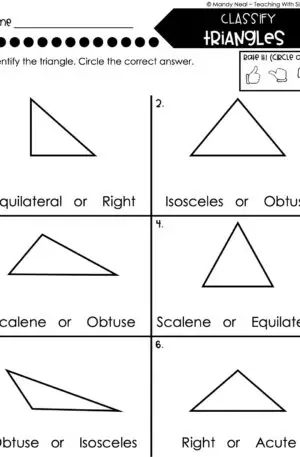 5th Grade Fractions – Classify Triangles Worksheet 2