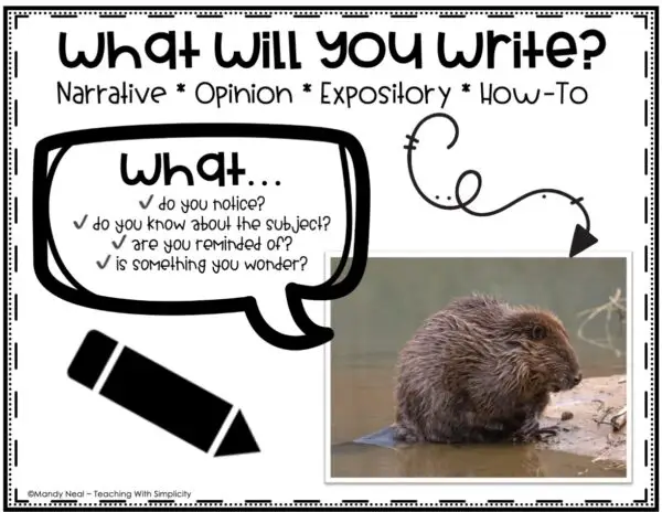 Paragraph Writing Prompts - Full Page Picture Prompts 17