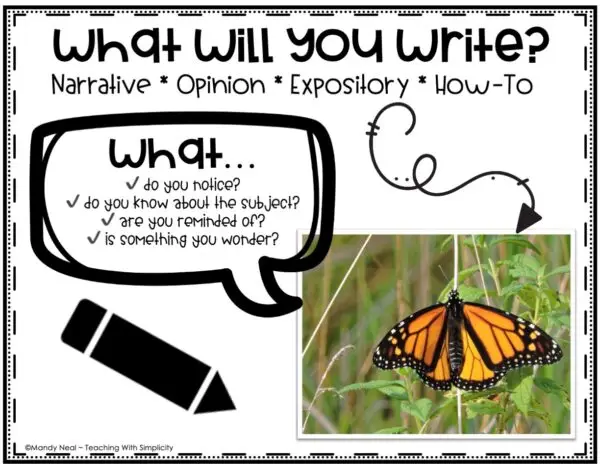 Paragraph Writing Prompts - Full Page Picture Prompts 22