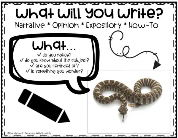 Paragraph Writing Prompts - Full Page Picture Prompts 7