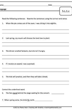 5th Grade ELA Assessment 23 (5.L.1.c)