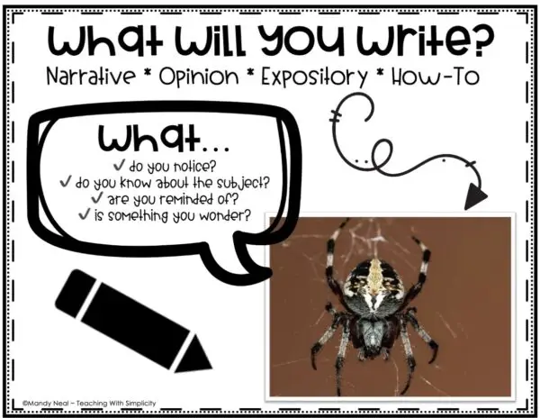 Paragraph Writing Prompts – Full Page Picture Prompts 42