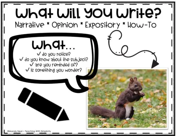 Paragraph Writing Prompts – Full Page Picture Prompts 44