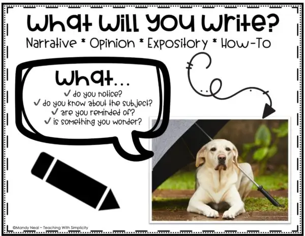 Paragraph Writing Prompts – Full Page Picture Prompts 46