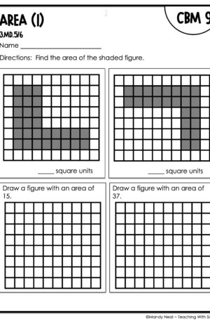 3rd Grade Area (1) Intervention Assessment 9