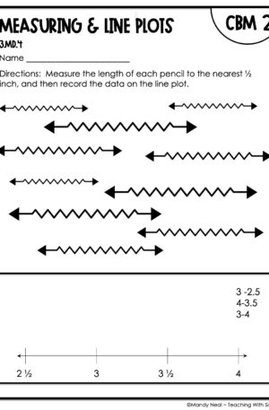 3rd Grade Measuring and Line Plots Intervention Assessment 2