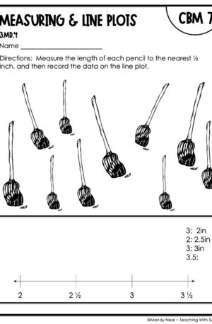 3rd Grade Measuring and Line Plots Intervention Assessment 7