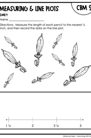 3rd Grade Measuring and Line Plots Intervention Assessment 9