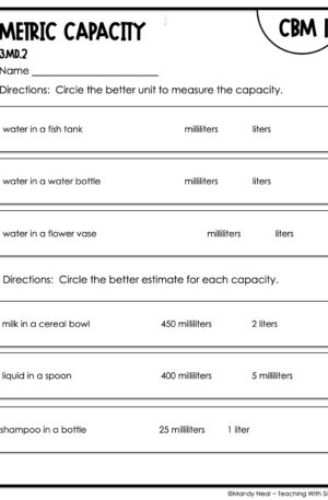 3rd Grade Metric Capacity Intervention Assessment 1