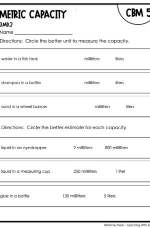 3rd Grade Metric Capacity Intervention Assessment 5