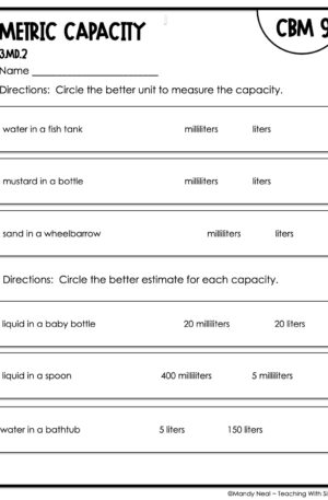 3rd Grade Metric Capacity Intervention Assessment 9