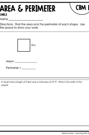 4th Grade Area and Perimeter Intervention Assessment 1