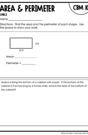 4th Grade Area and Perimeter Intervention Assessment 10