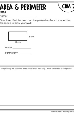 4th Grade Area and Perimeter Intervention Assessment 2