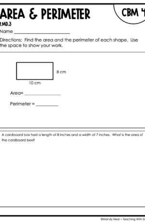 4th Grade Area and Perimeter Intervention Assessment 4