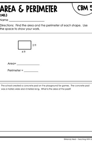 4th Grade Area and Perimeter Intervention Assessment 5