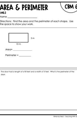 4th Grade Area and Perimeter Intervention Assessment 6