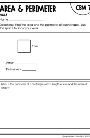4th Grade Area and Perimeter Intervention Assessment 7