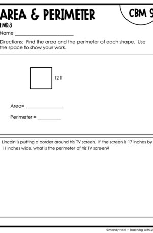 4th Grade Area and Perimeter Intervention Assessment 9