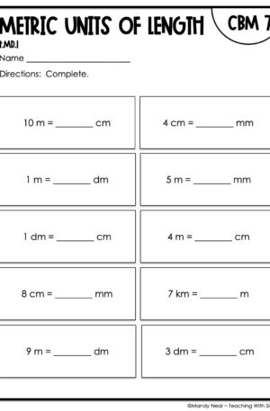 4th Grade Metric Units of Length Intervention Assessment 7