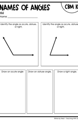 4th Grade Names of Angles Intervention Assessment 10
