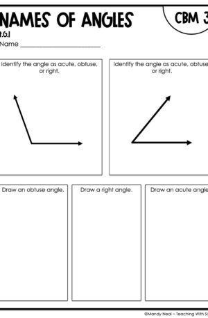 4th Grade Names of Angles Intervention Assessment 3