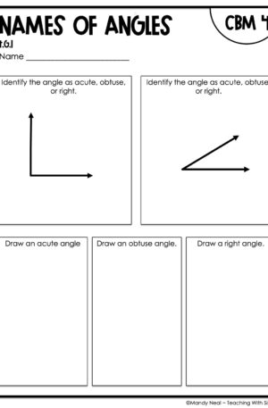 4th Grade Names of Angles Intervention Assessment 4