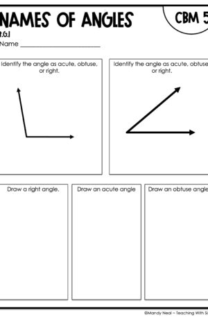 4th Grade Names of Angles Intervention Assessment 5