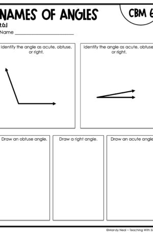 4th Grade Names of Angles Intervention Assessment 6