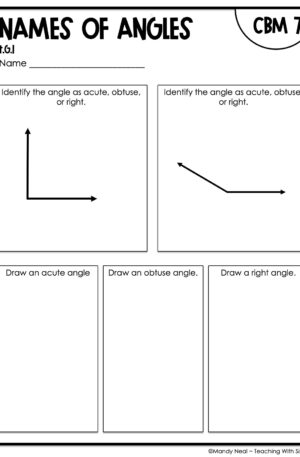 4th Grade Names of Angles Intervention Assessment 7