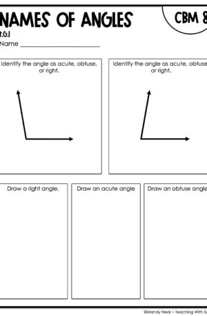4th Grade Names of Angles Intervention Assessment 8