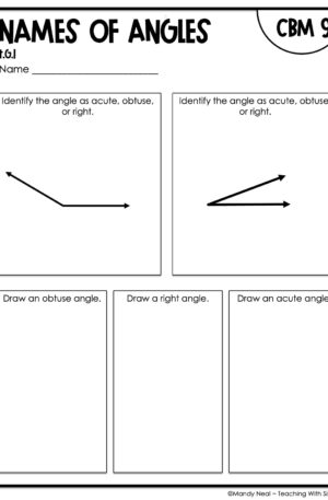 4th Grade Names of Angles Intervention Assessment 9
