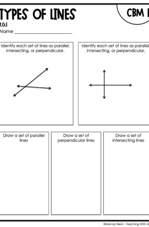4th Grade Types of Lines Intervention Assessment 1