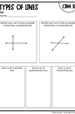 4th Grade Types of Lines Intervention Assessment 10
