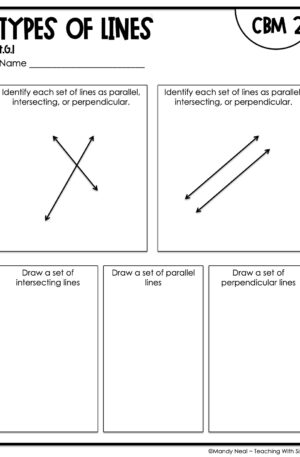 4th Grade Types of Lines Intervention Assessment 2