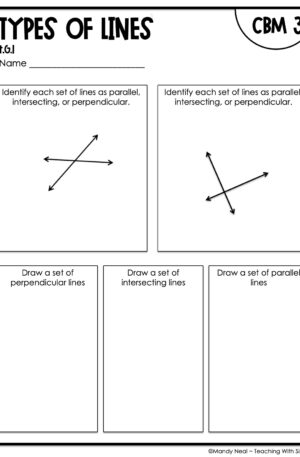 4th Grade Types of Lines Intervention Assessment 3
