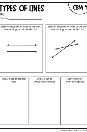 4th Grade Types of Lines Intervention Assessment 4