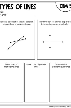 4th Grade Types of Lines Intervention Assessment 5