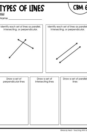 4th Grade Types of Lines Intervention Assessment 6