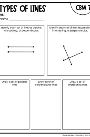 4th Grade Types of Lines Intervention Assessment 7